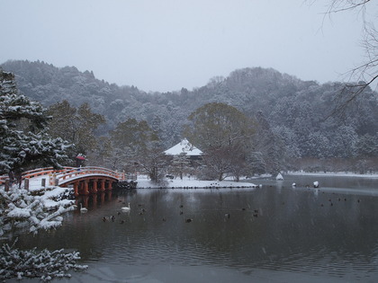 雪の白水阿弥陀堂