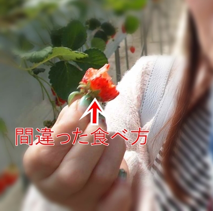 JR新橋駅前　福島県いわき市の出張いちご園