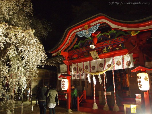 小川諏訪神社　いわき桜ライトアップ