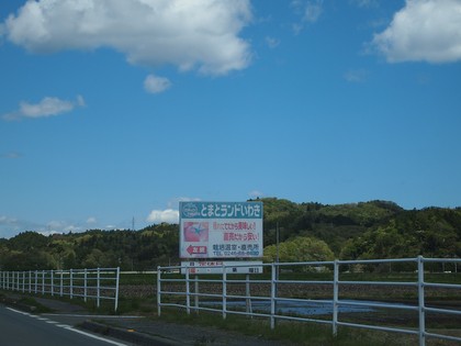 とまとランドいわき　トマト収穫体験