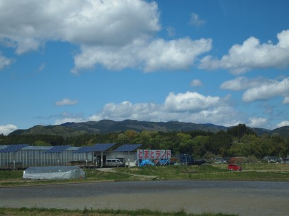 とまとランドいわき　トマト収穫体験