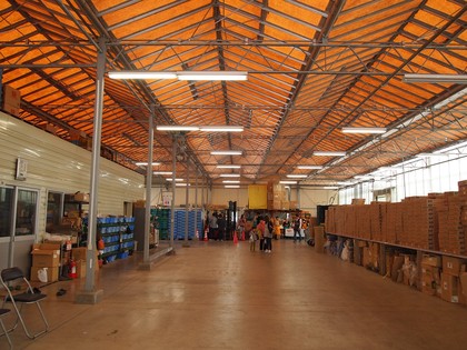 とまとランドいわき　トマト収穫体験