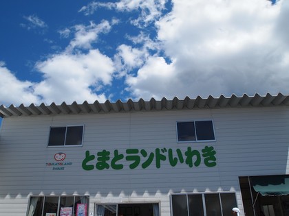 とまとランドいわき　トマト収穫体験