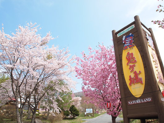いわき桜の名所　鬼ヶ城さくら祭り2014