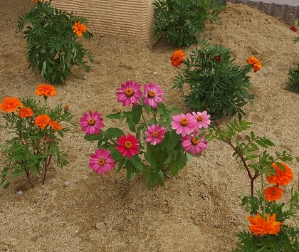 ながせ皮フ科　いわき皮膚科口コミ