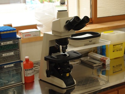 ながせ皮フ科　いわき皮膚科口コミ