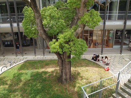 アリオス・パークフェス／いわきアリオス