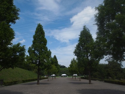 いわき　21世紀の森公園／ふくしま復興祭　オールスターゲーム