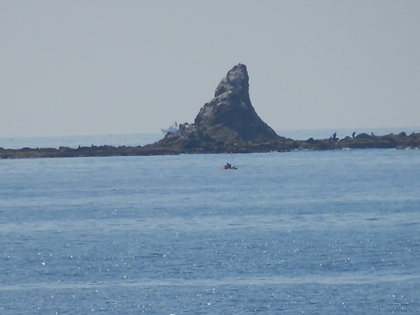 茅ヶ崎湘南祭　いわきフラおじさん