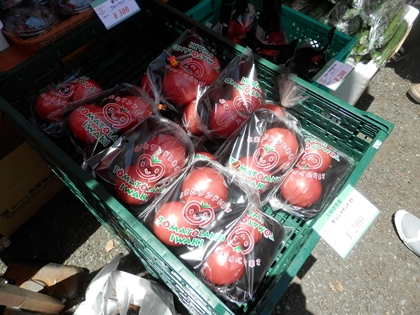 福島フェス2013＠代々木