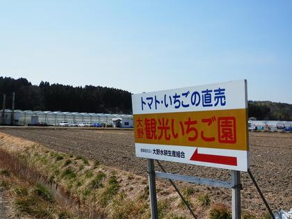 いわきいちご狩り　大野観光いちご園