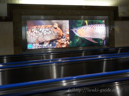 アクアマリンふくしま・ハワイアンズ