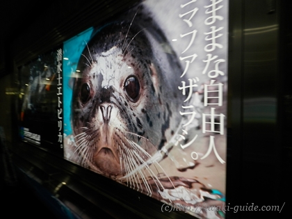 アクアマリンふくしま・ハワイアンズ